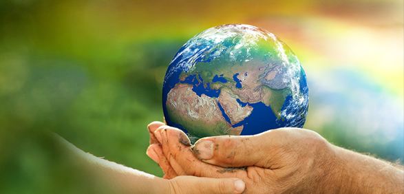 大棗顆粒包裝機